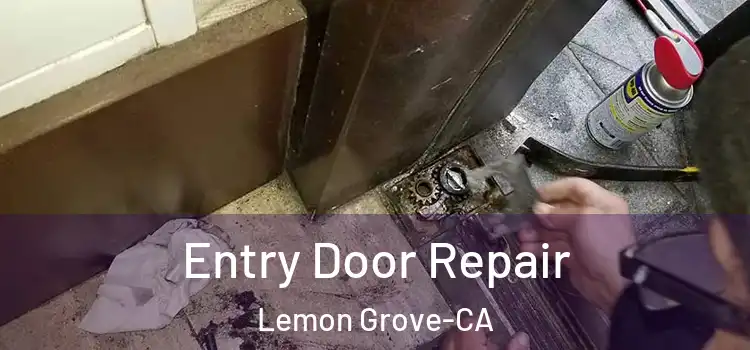  Entry Door Repair Lemon Grove-CA