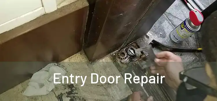  Entry Door Repair 