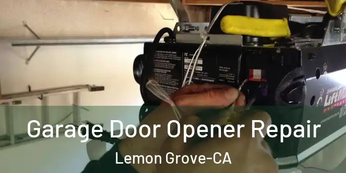 Garage Door Opener Repair Lemon Grove-CA