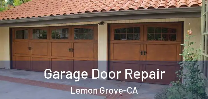 Garage Door Repair Lemon Grove-CA