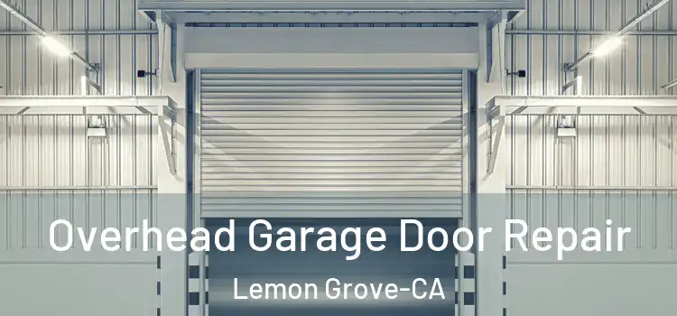  Overhead Garage Door Repair Lemon Grove-CA